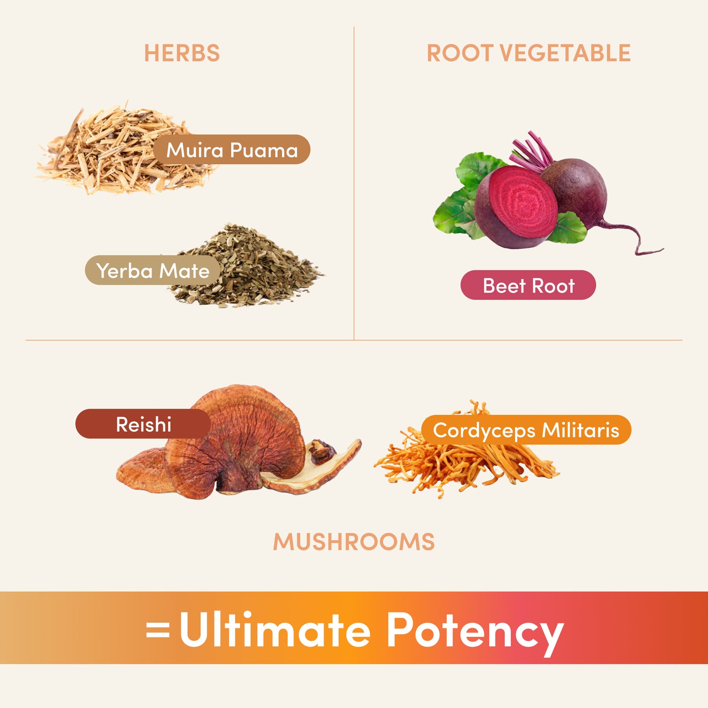 10.jpg__PID:8b2be648-8eb4-4467-9284-46ce11fdcdc1