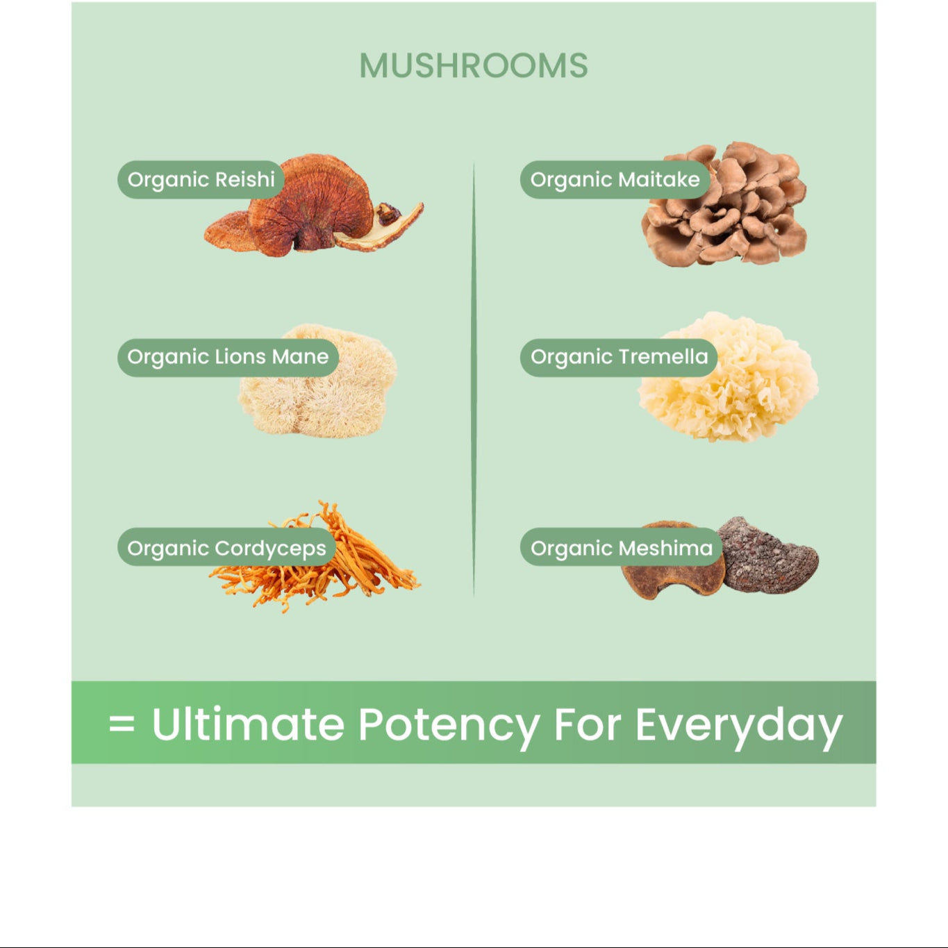 10.jpg__PID:8b2be648-8eb4-4467-9284-46ce11fdcdc1