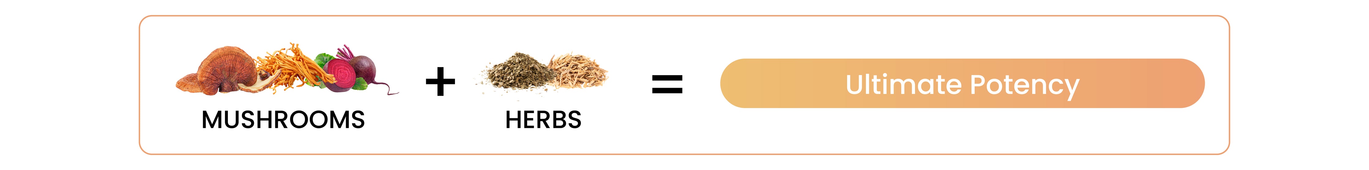 Banner.png__PID:8eb41467-5284-46ce-91fd-cdc105580984