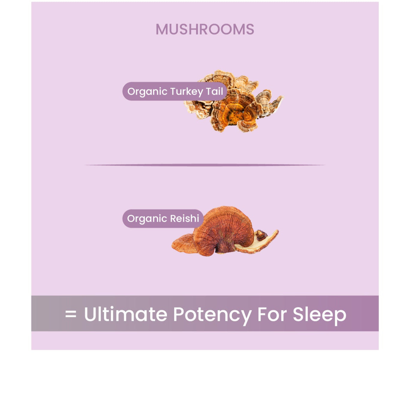 10.jpg__PID:8b2be648-8eb4-4467-9284-46ce11fdcdc1