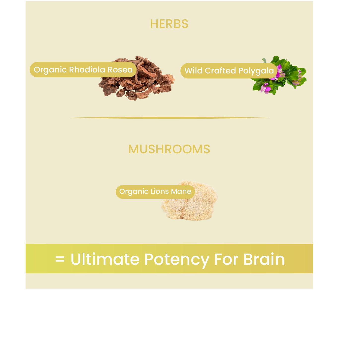 10.jpg__PID:8b2be648-8eb4-4467-9284-46ce11fdcdc1