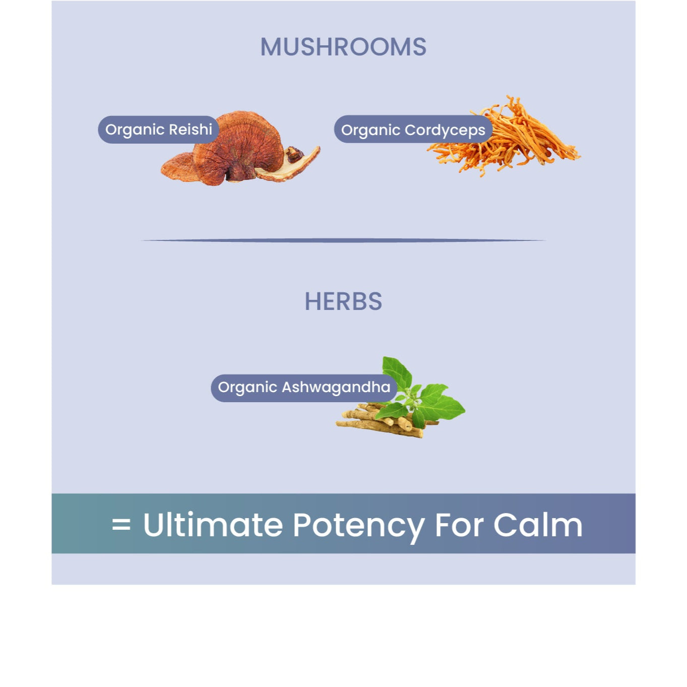 10.jpg__PID:8b2be648-8eb4-4467-9284-46ce11fdcdc1