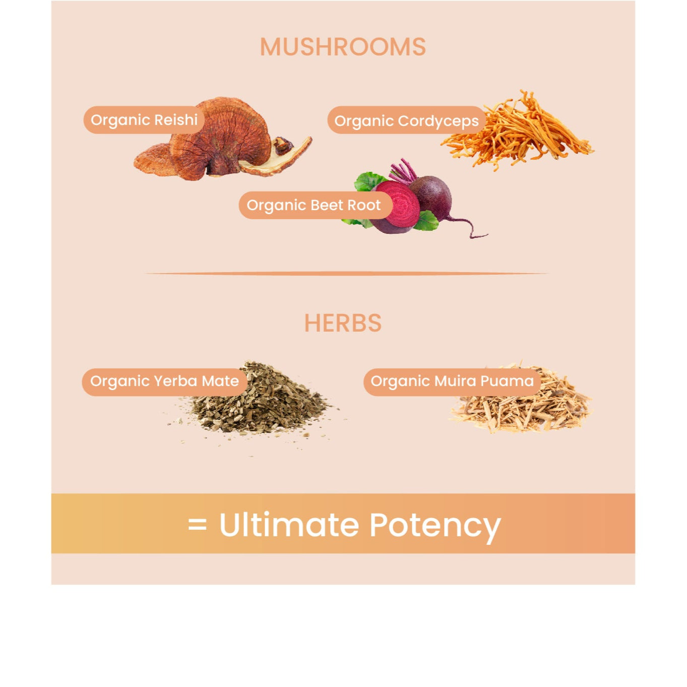 10.jpg__PID:8b2be648-8eb4-4467-9284-46ce11fdcdc1