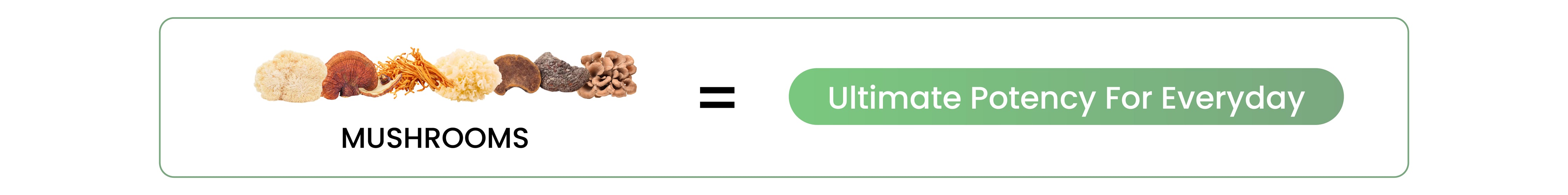 Banner.png__PID:8eb41467-5284-46ce-91fd-cdc105580984