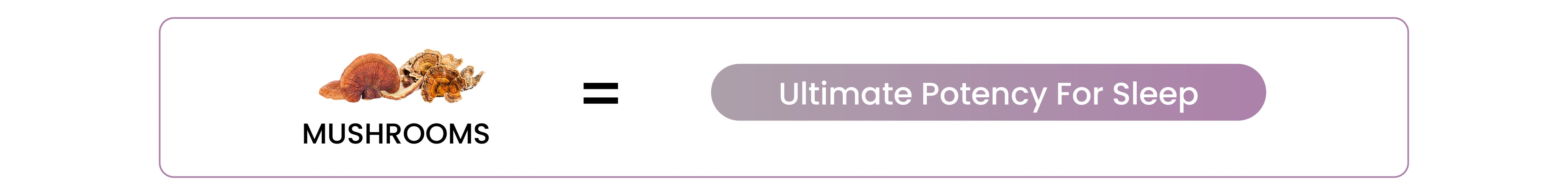 Banner.png__PID:8eb41467-5284-46ce-91fd-cdc105580984