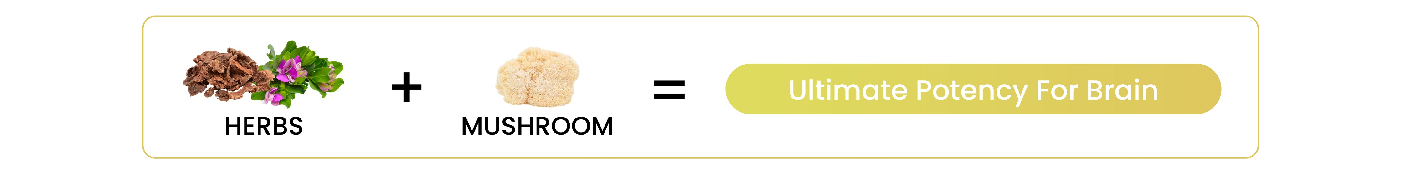 Banner.png__PID:8eb41467-5284-46ce-91fd-cdc105580984