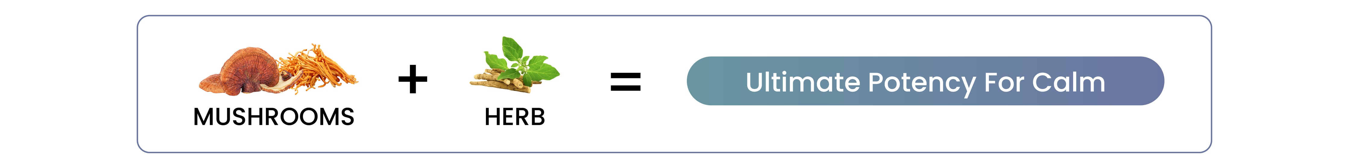 Banner.png__PID:8eb41467-5284-46ce-91fd-cdc105580984