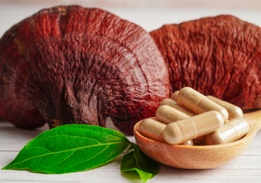 Things To Remember When Choosing a Mushroom Supplement