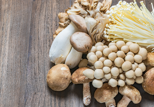 What are functional mushrooms?