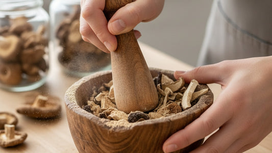 Blog Post: how to grind mushrooms into powder - Professional illustration