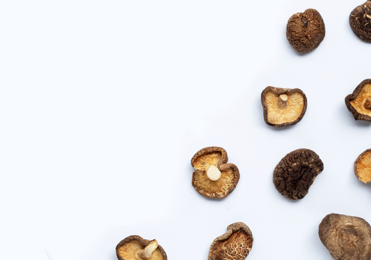 What is The Best Medicinal Mushroom and its Health Benefits?