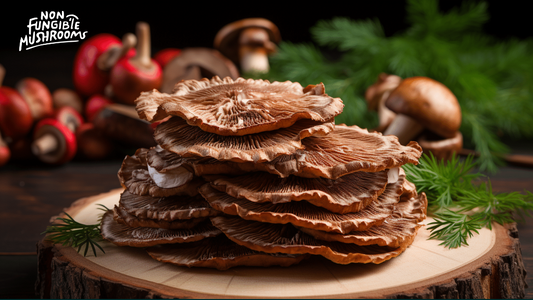 How Turkey Tail Mushrooms Can Aid in Gut Health and Digestion