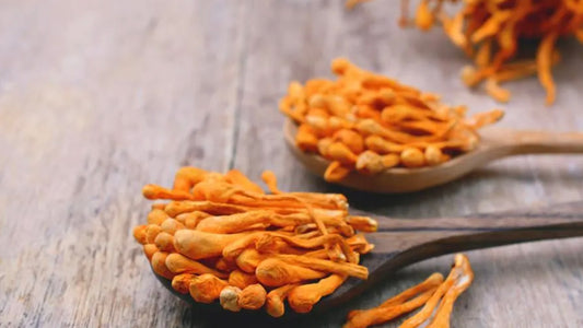 Choosing The Best Cordyceps Supplements: The Ultimate Guide
