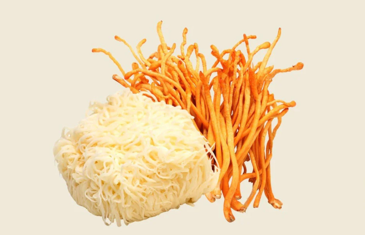 Lion's Mane vs. Cordyceps Health Benefits Compared! Non Fungible