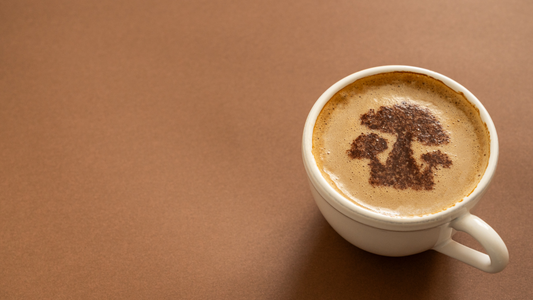 Mushroom Coffee: Understanding Its Benefits and Downsides