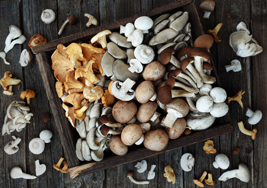 Do Mushrooms Have Protein? + 5 Health Benefits That Might Surprise You