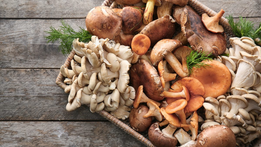 Mushrooms and IBS: Discovering the Best Varieties for Digestive Health