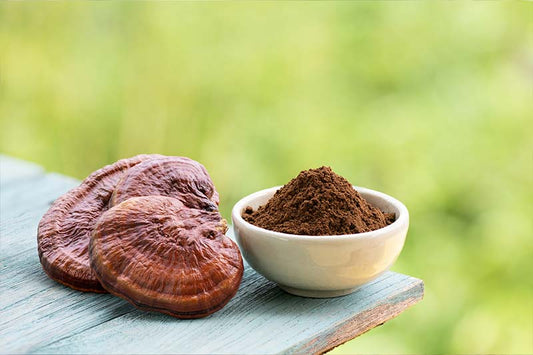 Why Our Reishi Tea Is a Must-Have for Every Vegan’s Healthy Lifestyle