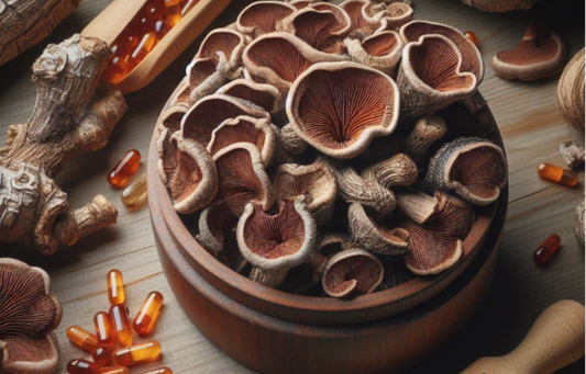 Turkey Tail Mushroom Capsules: A Natural Solution for Respiratory Health