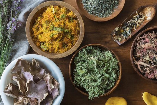 Adaptogens for Athletes: Benefits, Types & How to Supplement