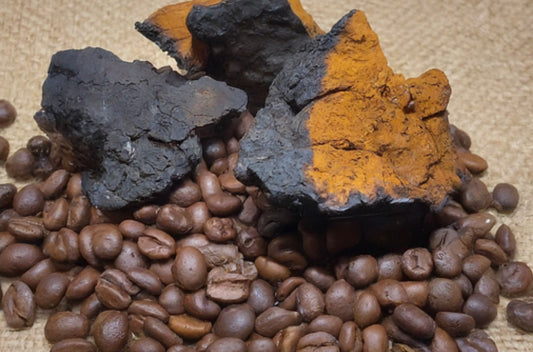 Deep Dive Into Chaga Mushroom Coffee – Brewing Up Benefits or Just Hype?
