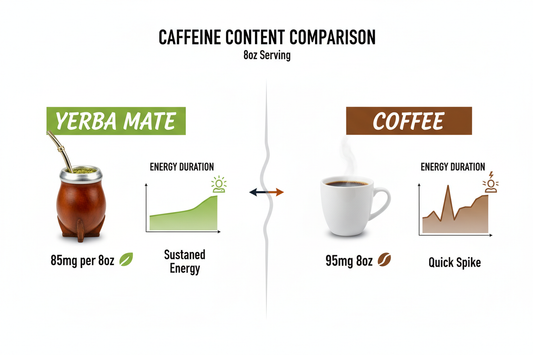 How Much Caffeine in Yerba Mate? Compare Yerba Mate vs Coffee Energy Levels