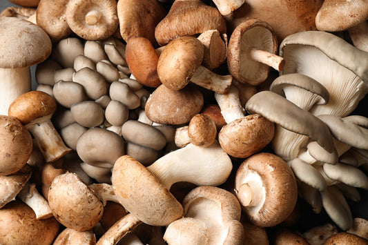 What are the Most Beneficial Mushrooms for Health?