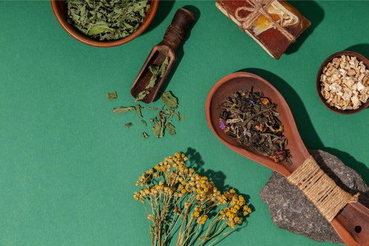 The Art of Mushroom Extraction: Methods for Maximum Extract Potency