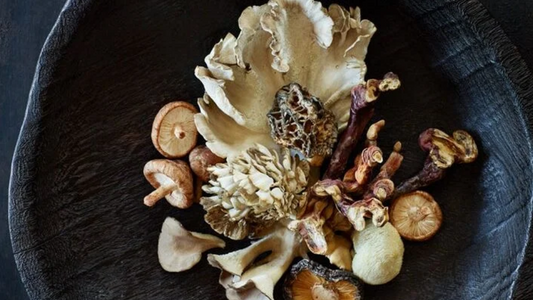 Unlocking the Secrets of Mushroom Extraction for Maximum Health Benefits