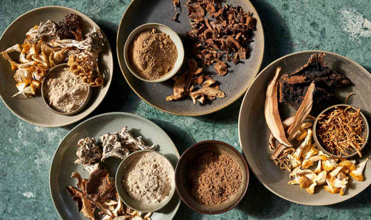 How to Use Mushroom Powder in Cooking