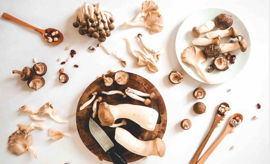 How the Best Mushrooms Support Brain Health