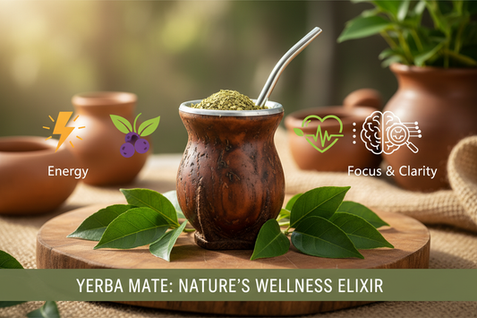 What Is Yerba Mate Good For? Discover Its Powerful Uses and Health Benefits